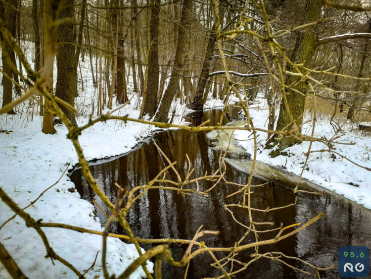 Sobotnia wycieczka wzdłuż rzeczki Srebrna