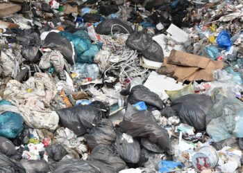 W Gorzowie powstanie spalarnia za setki milionów?