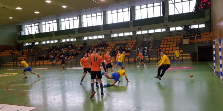 „Misie” jadą do Wrocławia