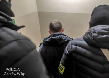 Ukradli auta warte 2 miliony złotych