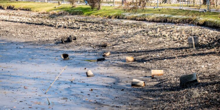 Staw jak śmietnik [ZDJĘCIA]