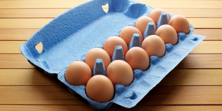 Kody na jajku. Co warto o nich wiedzieć? [INFOGRAFIKA]