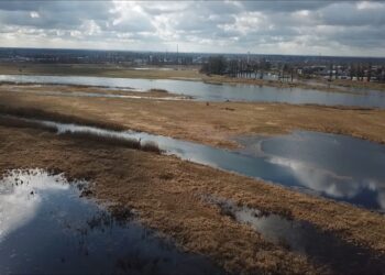 Nadwarciańskie rozlewiska [FILM z drona]