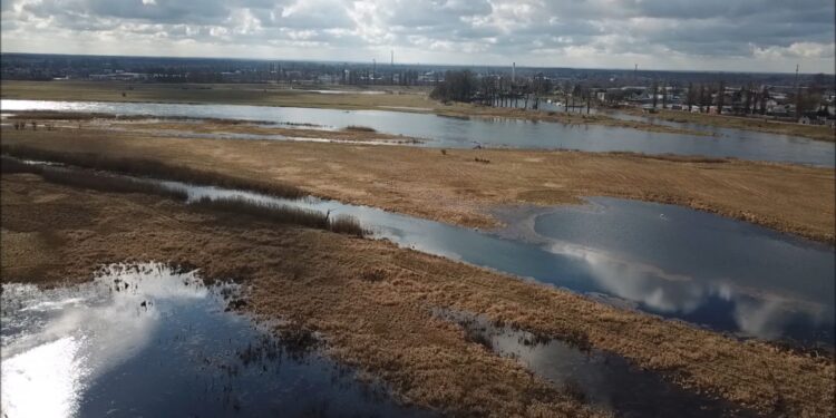 Nadwarciańskie rozlewiska [FILM z drona]