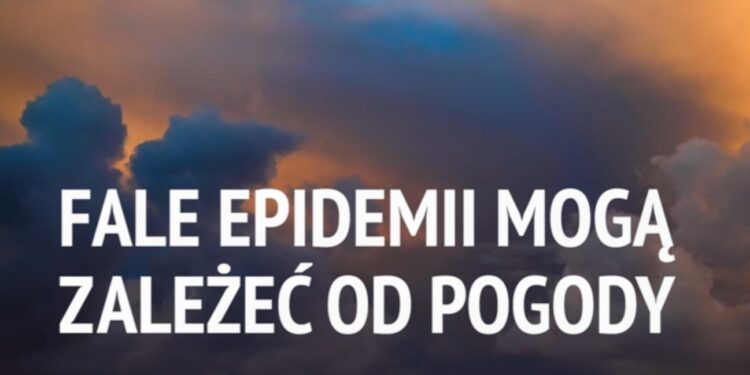 Fale epidemii mogą zależeć od pogody [WIDEO]