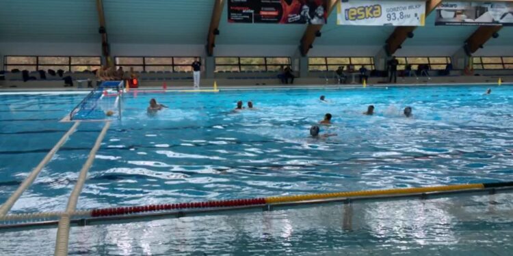 Brąz młodzieżowców Alfy