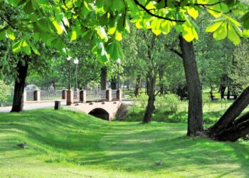 Magistrat: Gorzów pozostanie zielonym miastem