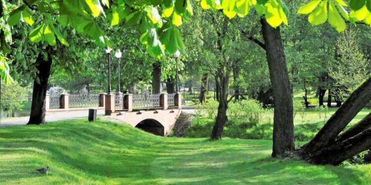 Magistrat: Gorzów pozostanie zielonym miastem