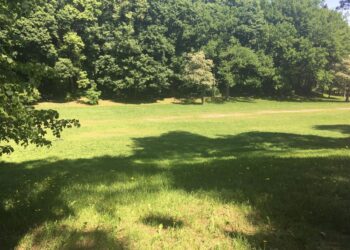 Mobilne konsultacje o mikroinicjatywach odwołane