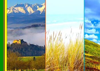 Ok. 2,3 mln zł z Bonu Turystycznego trafiło do lubuskich firm