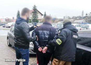 Poszukiwany 14 listami gończymi w rękach policji