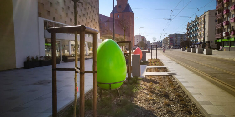 Wciąż można oglądać świąteczne dekoracje