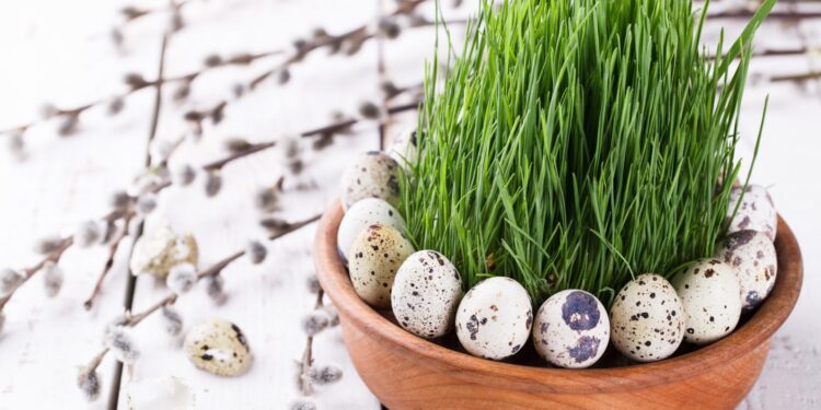 Pozostańmy w domach w święta - apel lekarzy