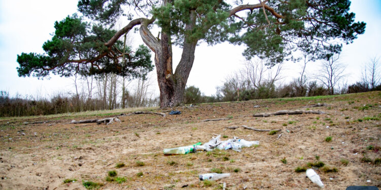 Śmietnisko na poligonie [ZDJĘCIA]
