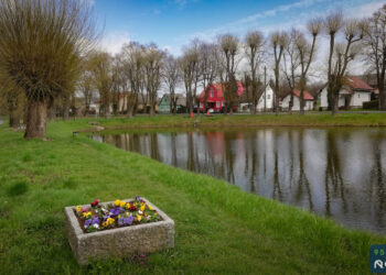 Staw w Wawrowie [ZDJĘCIA]