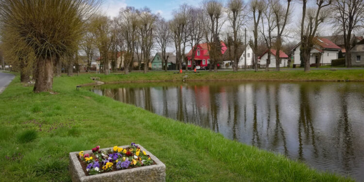 Staw w Wawrowie [ZDJĘCIA]