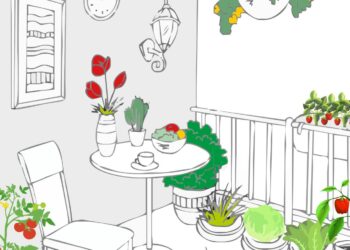 Warzywa i owoce na balkonie