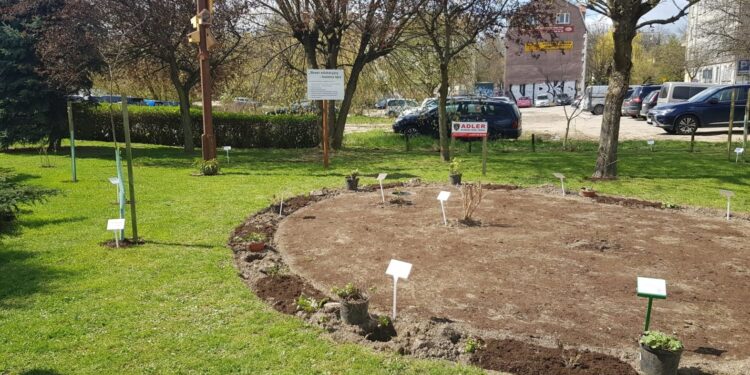 Lubuskie gminy i powiaty będą remontować drogi