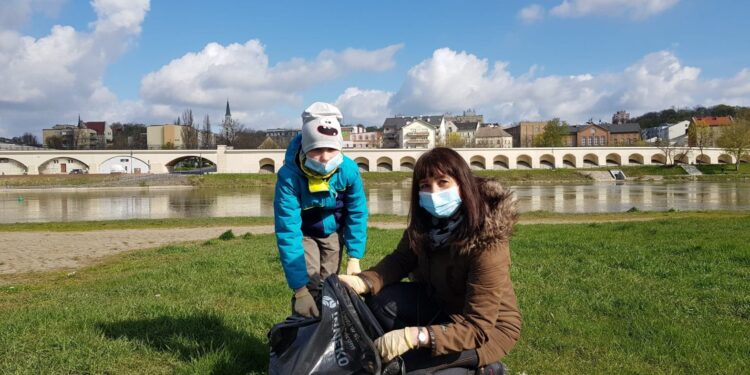 Sprzątają brzegi Warty