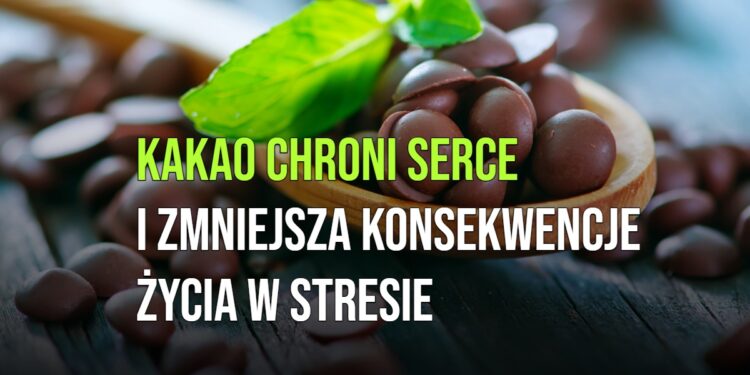 Kakao chroni serce i zmniejsza konsekwencje życia w stresie [WIDEO]