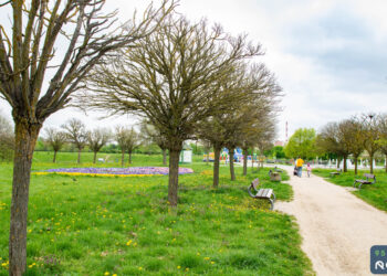 Park Górczyński – będą zmiany w ramach BO [ZDJĘCIA]