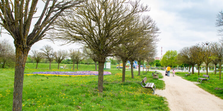 Park Górczyński – będą zmiany w ramach BO [ZDJĘCIA]