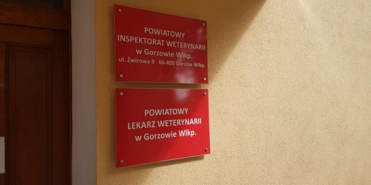 Rządowe wsparcie do przebudowy ul. Spichrzowej