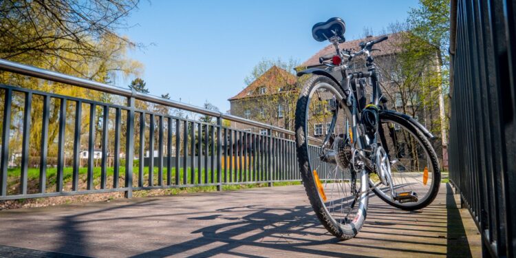 Ścieżka wzdłuż Kłodawki [ZDJĘCIA]