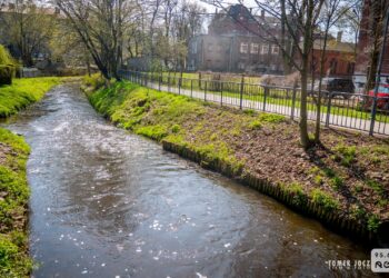 Ścieżka wzdłuż Kłodawki [ZDJĘCIA]