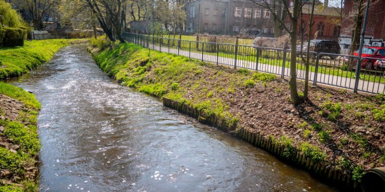 Ścieżka wzdłuż Kłodawki [ZDJĘCIA]