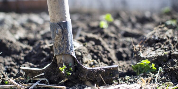 Pogoda w końcu sprzyja działkowcom