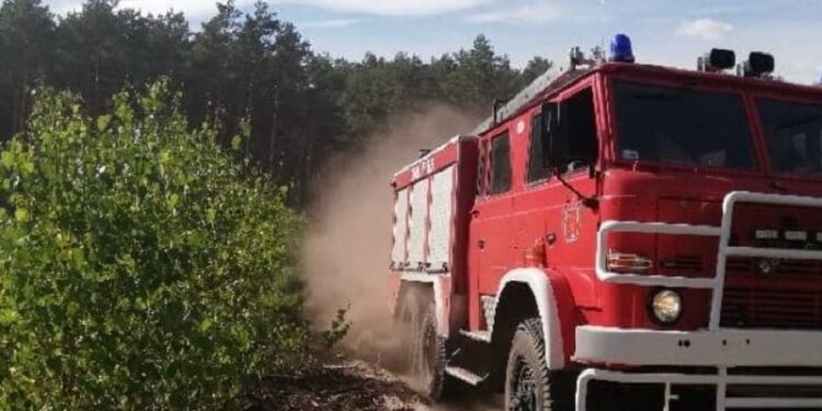 Uważajcie w lasach! Ogromne zagrożenie pożarami