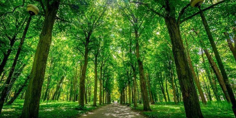 Mieszkańcy zdecydowali gdzie zagrają filharmonicy