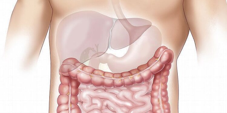 Centrum Kompetencji Raka Jelita Grubego w Gorzowie