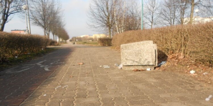 Jak miasto dba o czystość?