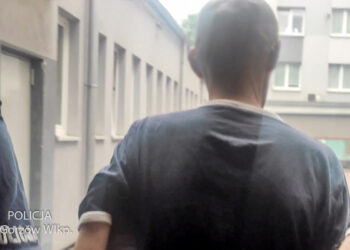 Udawał zakochanego. Lubuszanka straciła 100 tys. zł [WIDEO]