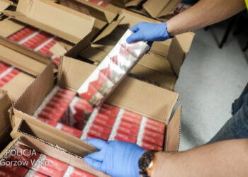 Przewoził 20 tys. paczek nielegalnych papierosów