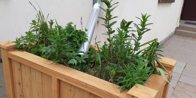 Ogrody deszczowe przy MCK