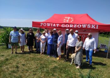 Królestwo lip w Chwalęcicach