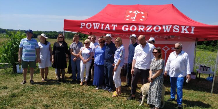 Królestwo lip w Chwalęcicach