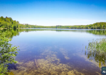 Jezioro Grabino [ZDJĘCIA]