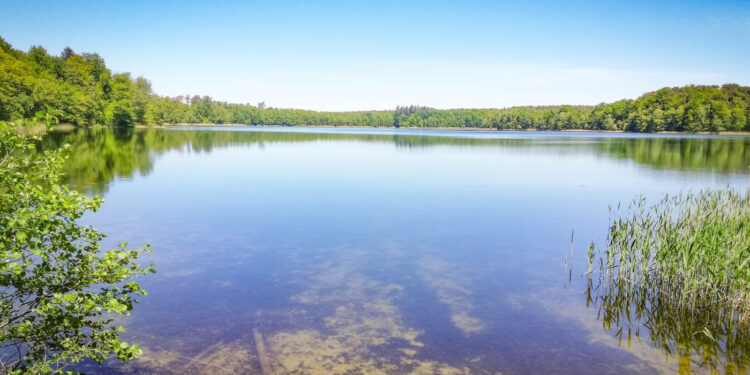 Jezioro Grabino [ZDJĘCIA]