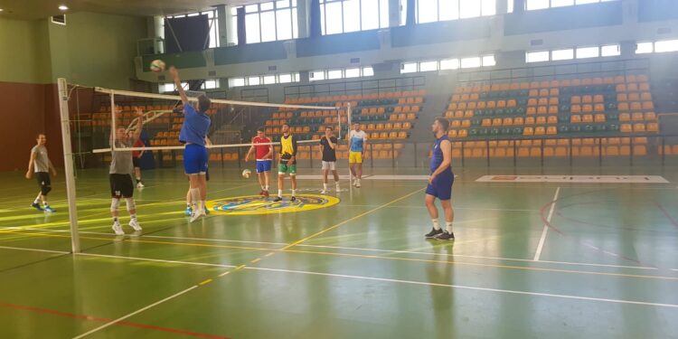 Maciejewicz zagra w gorzowskim SKS