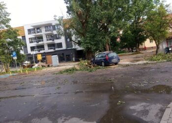 Burza poprzewracała drzewa
