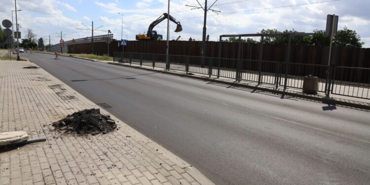 Uwaga na potrąconego jelonka!