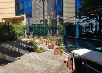 Zielone patio biblioteki [ZDJĘCIA]