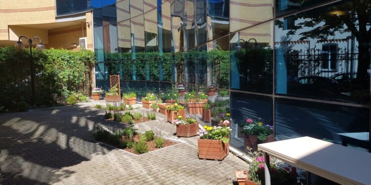 Zielone patio biblioteki [ZDJĘCIA]