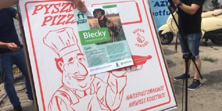 „Schroniaki i spółka”, czyli akcja dla gorzowskiego schroniska