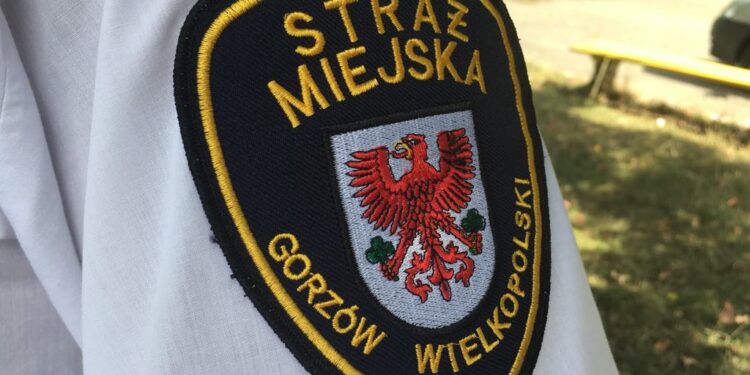 Pijani i agresywni kontra straż miejska