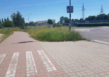 Wysokie trawy zagrażają bezpieczeństwu